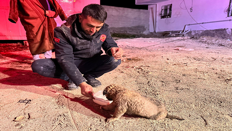 Şanlıurfa'da sondaj kuyusuna düşen yavru köpek kurtarıldı