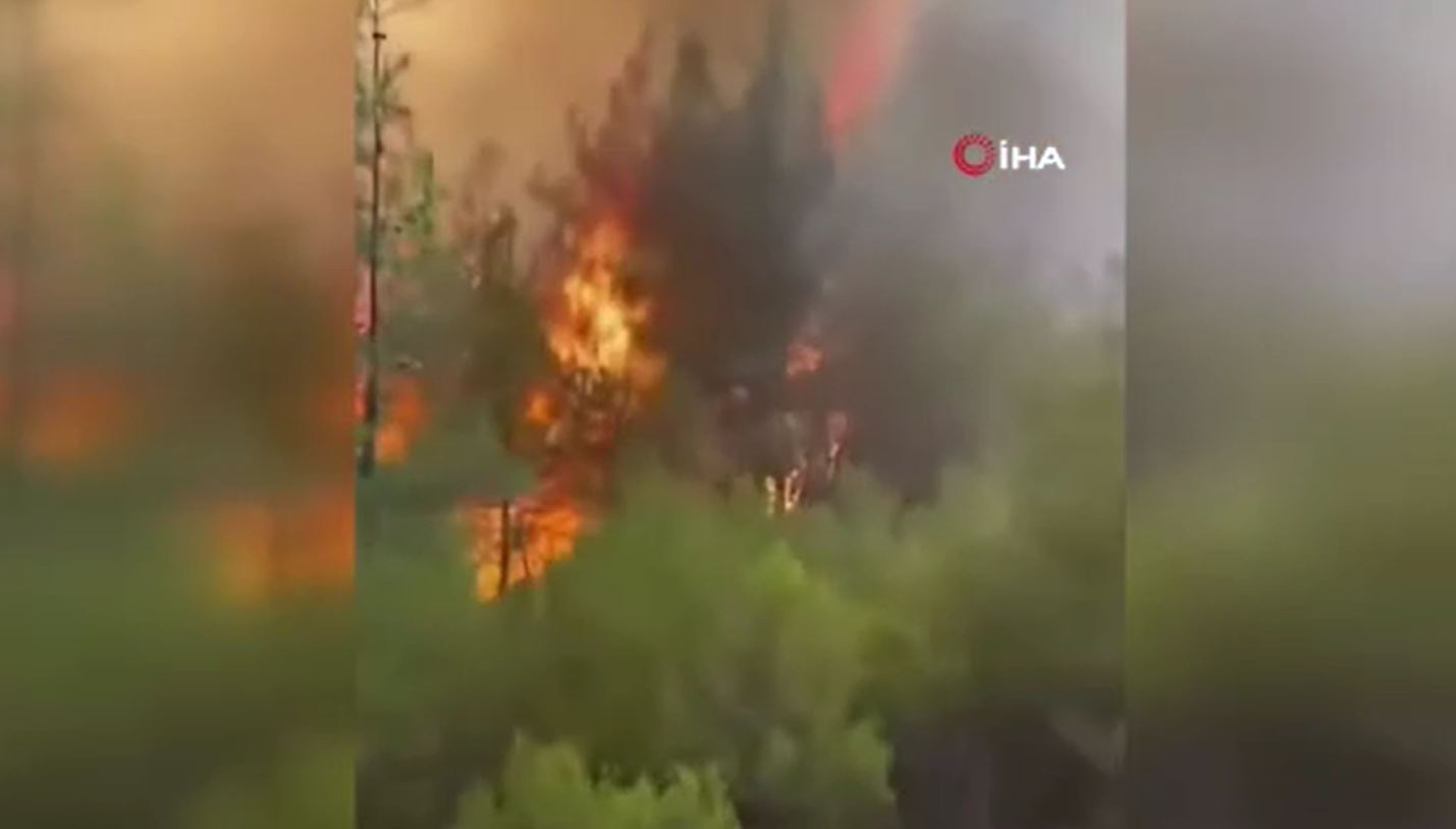 Orman yangınında itfaiyecilerin ölüm kalım savaşı