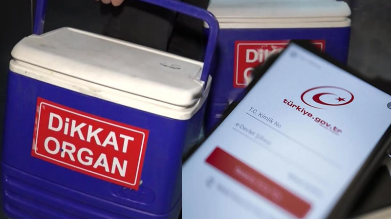 Organ Bağışı Artık e-Devlet ve e-Nabız Üzerinden Yapılabilecek