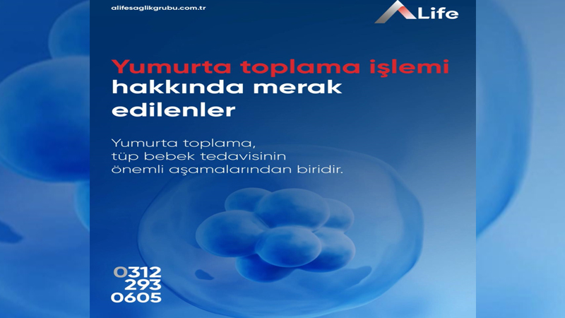 Tüp Bebek Tedavisinde En Önemli Aşama: Yumurta Toplama İşlemi