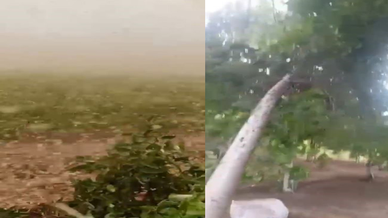 Siverek’te fırtına hayatı olumsuz etkiledi