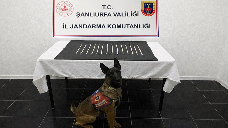 Harran'da uyuşturucu operasyonu: 2 gözaltı