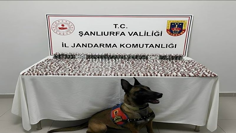 Şanlıurfa'da düğmeye basıldı çok sayıda gözaltı var!