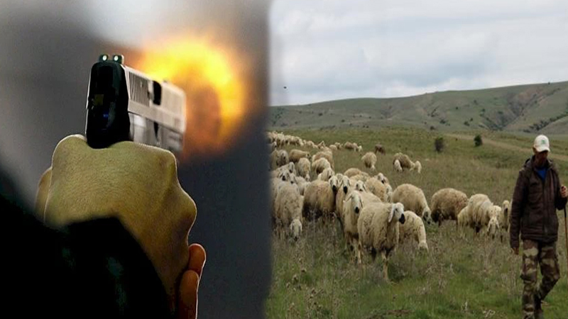 Akçakale’de Hayvan Otlatma Kavgası: 3 Kişi Yaralandı