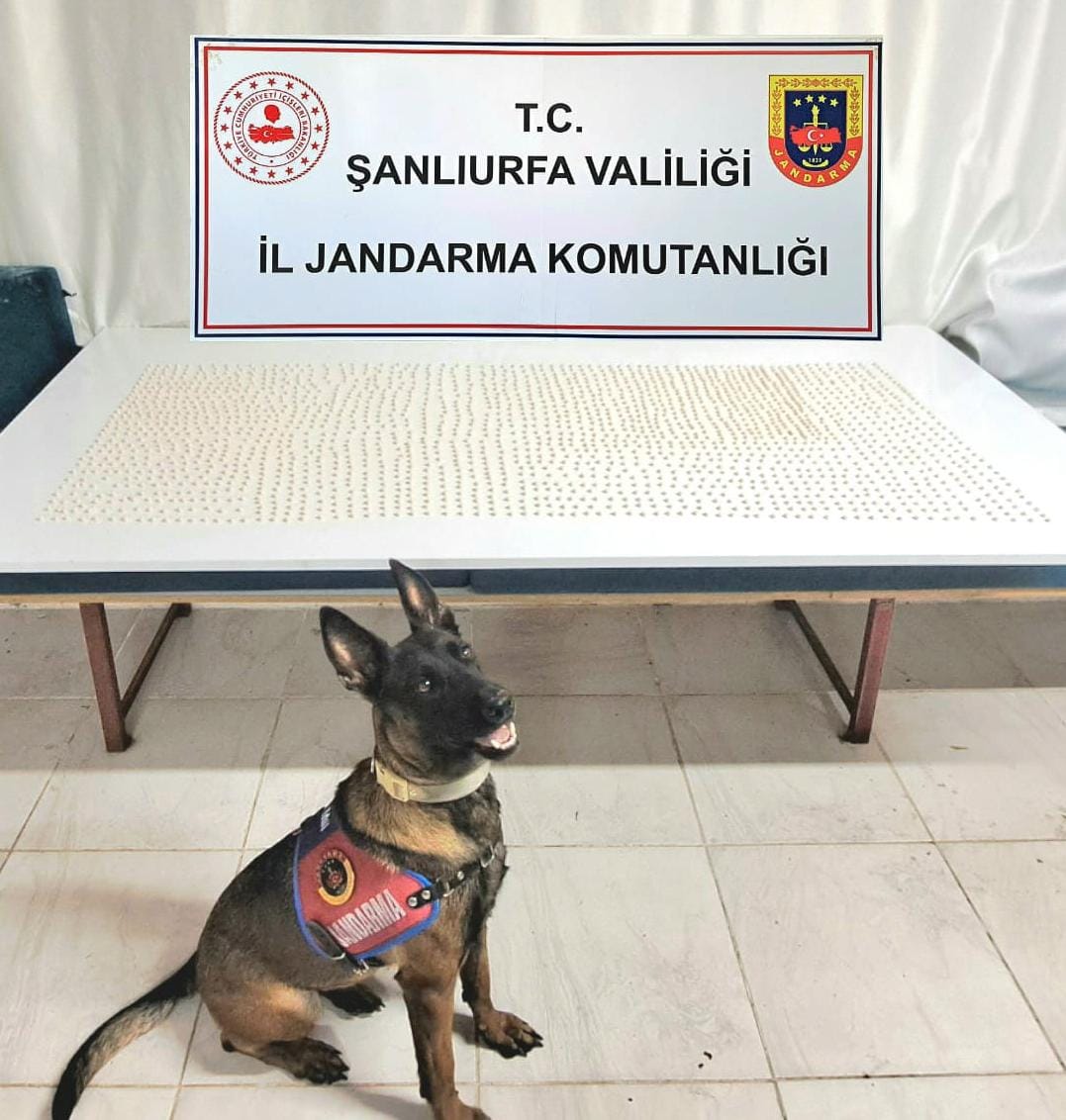 Siverek ve Halfeti’de Uyuşturucu Operasyonu