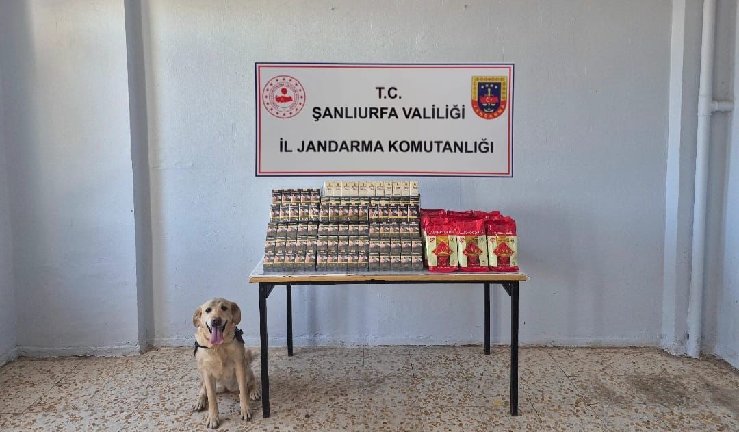 Şanlıurfa’da Kaçak Sigara ve Çay Operasyonu