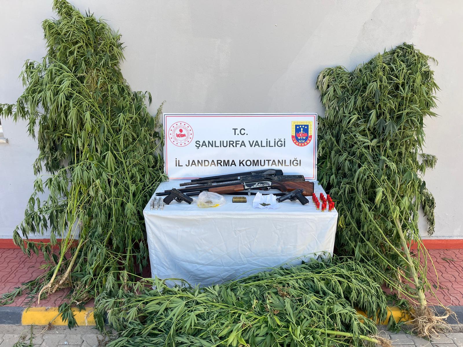 Şanlıurfa’da jandarmadan narkotik operasyonu