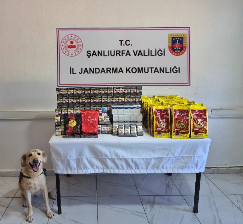 Şanlıurfa'da Jandarma’dan “Şok Yol Araması”