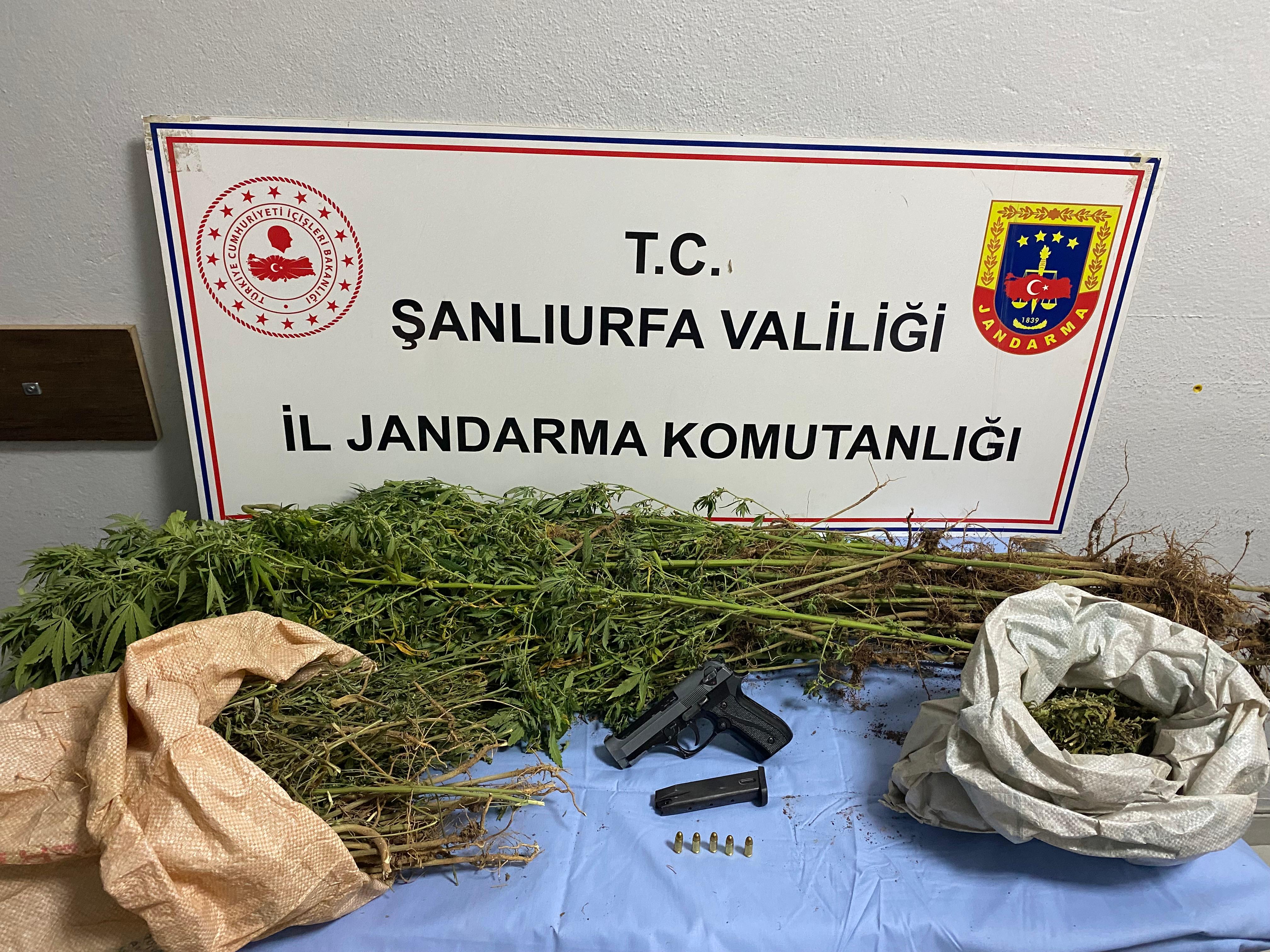 Şanlıurfa’da Jandarmadan Uyuşturucu Operasyonu