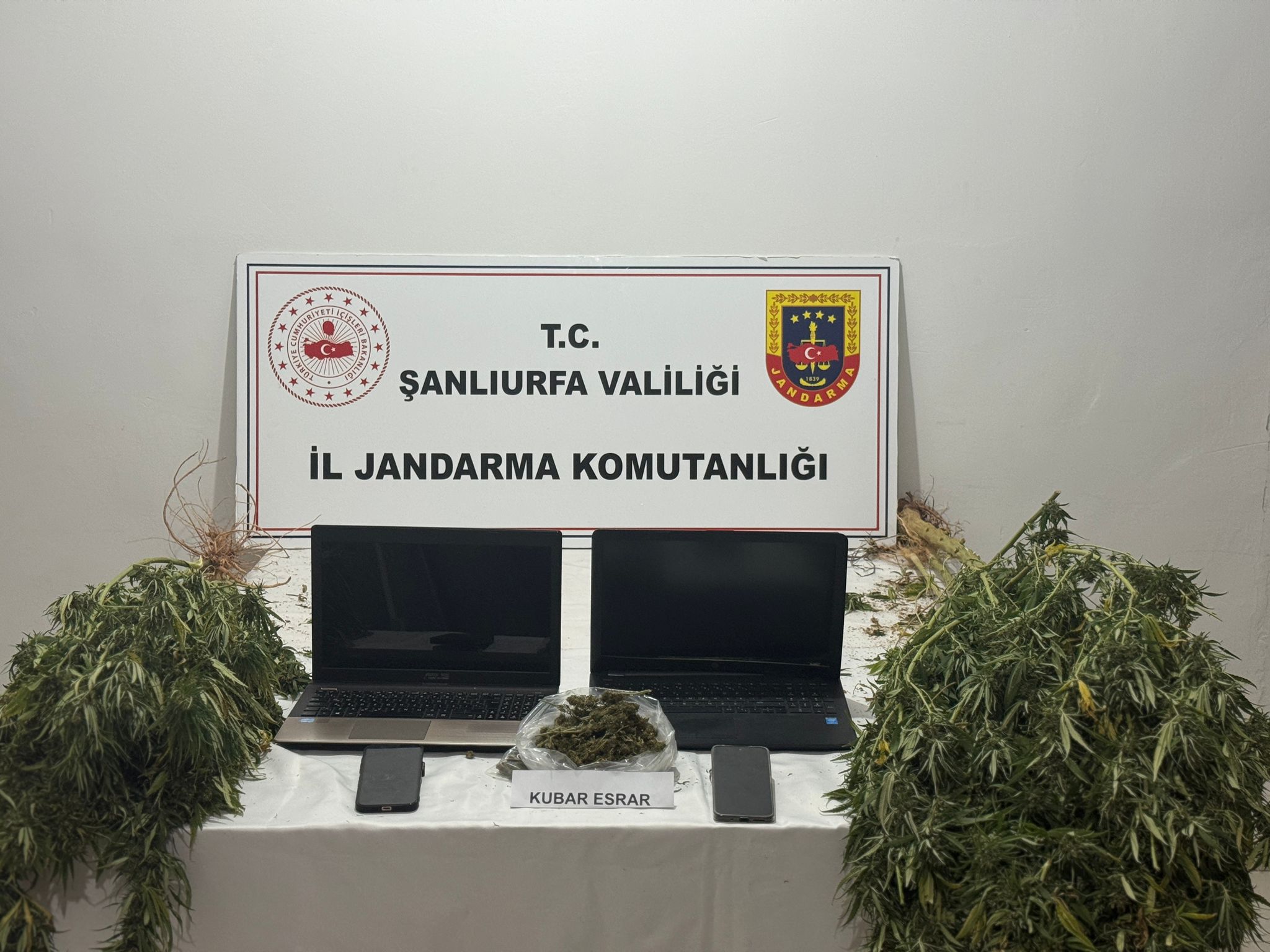 Akçakale’de Jandarmadan Uyuşturucu ve Dolandırıcılık Operasyonu