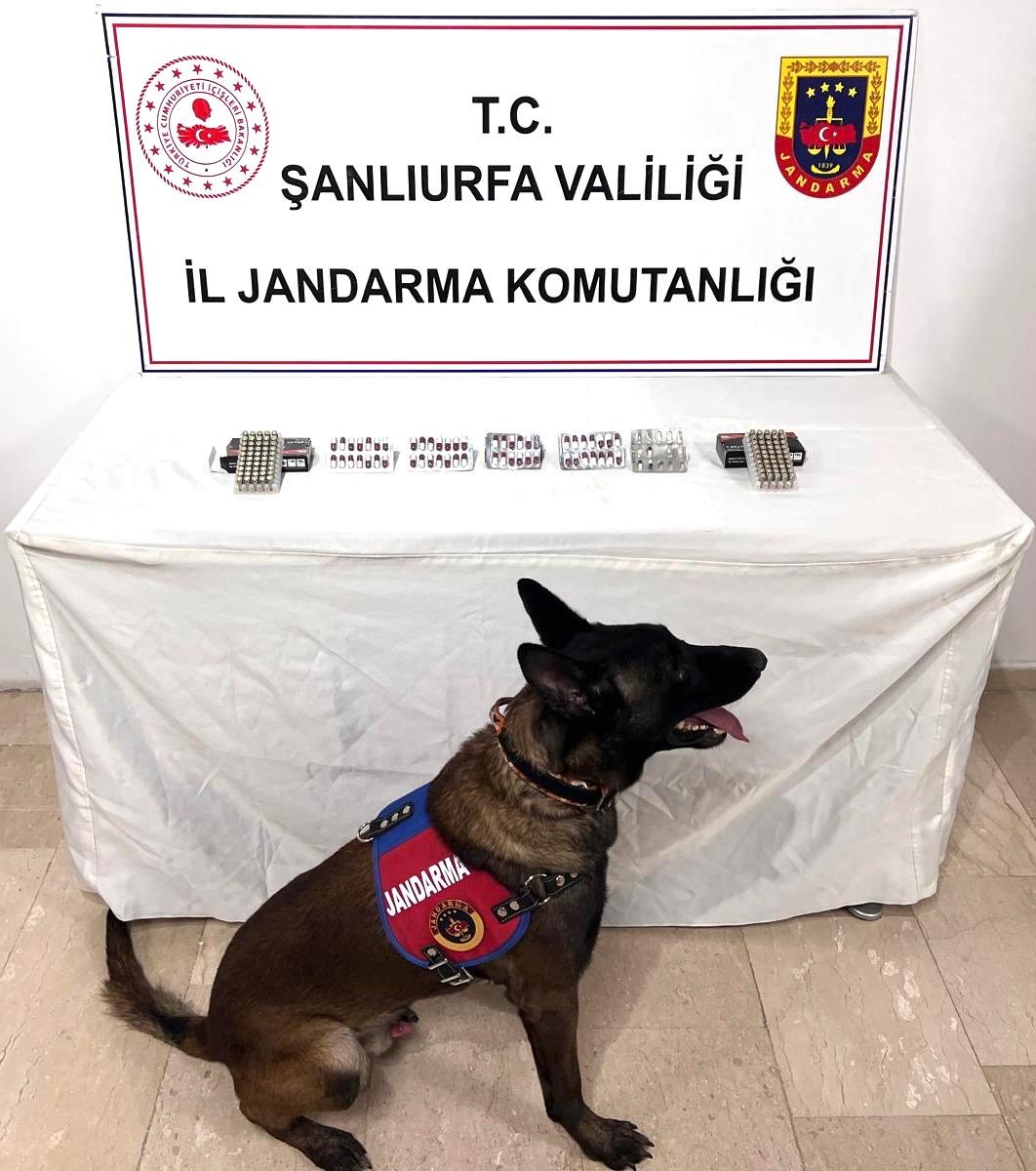 Şanlıurfa'da evden çıkan hap ve fişek jandarmayı alarma geçirdi