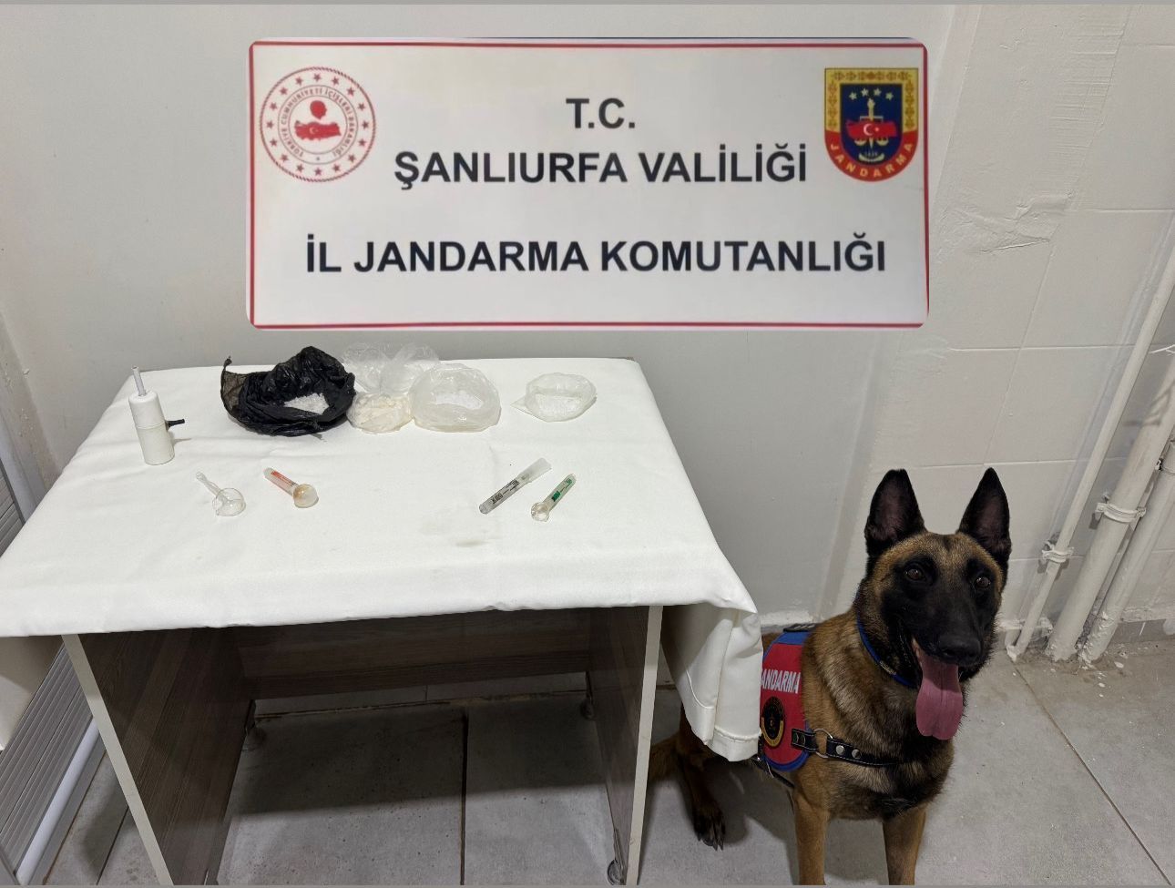Viranşehir’de Uyuşturucu Operasyonu