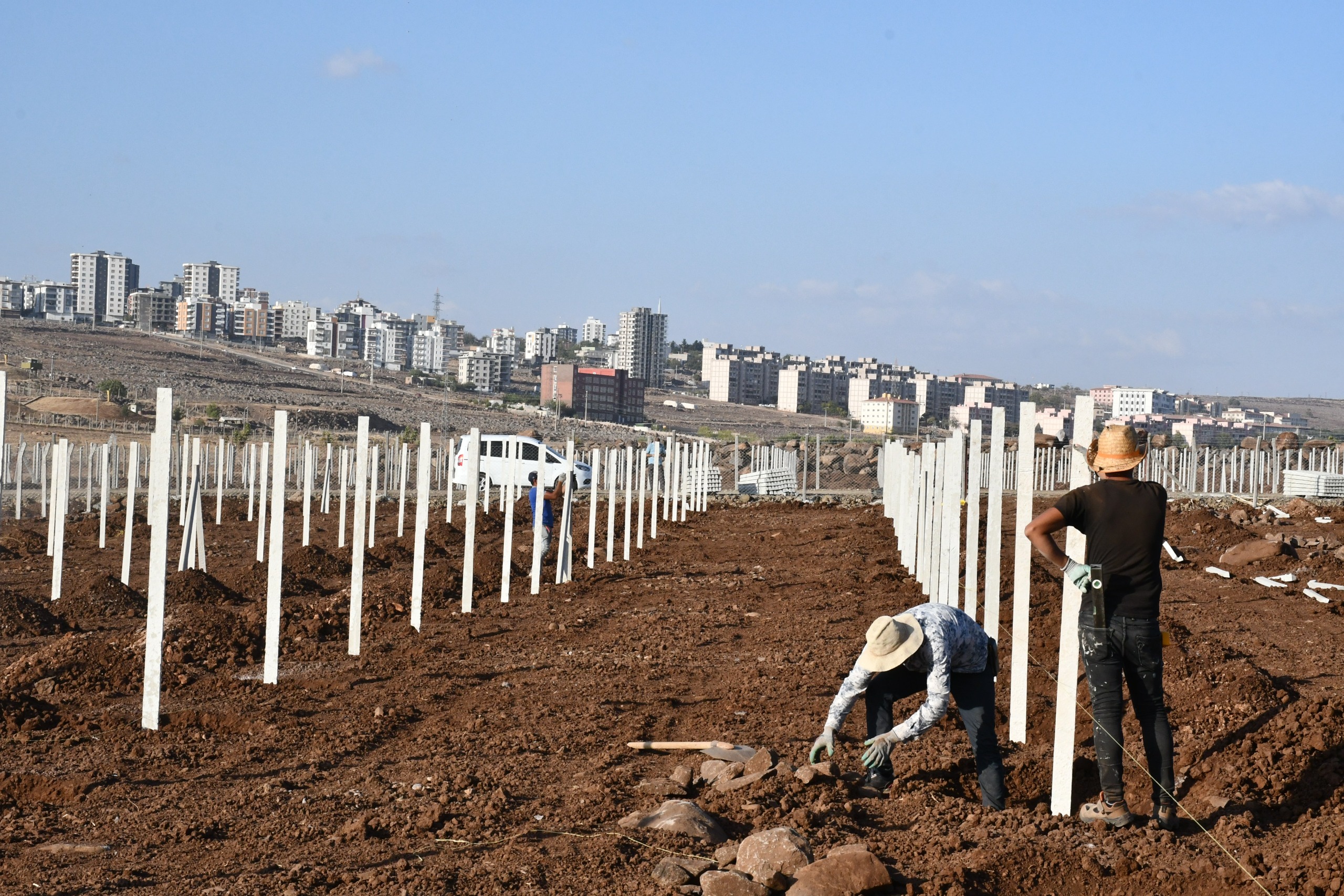 Siverek’in Şire Bağlarında Hummalı Çalışmalar Sürüyor