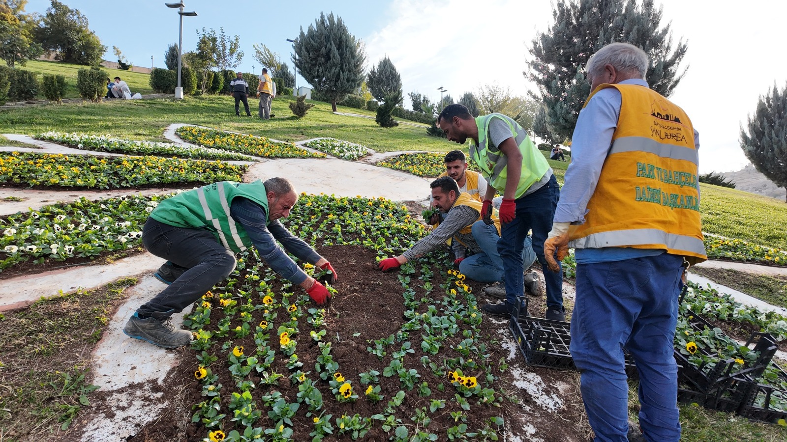 Büyükşehir’den Yeşeren Tasarruf