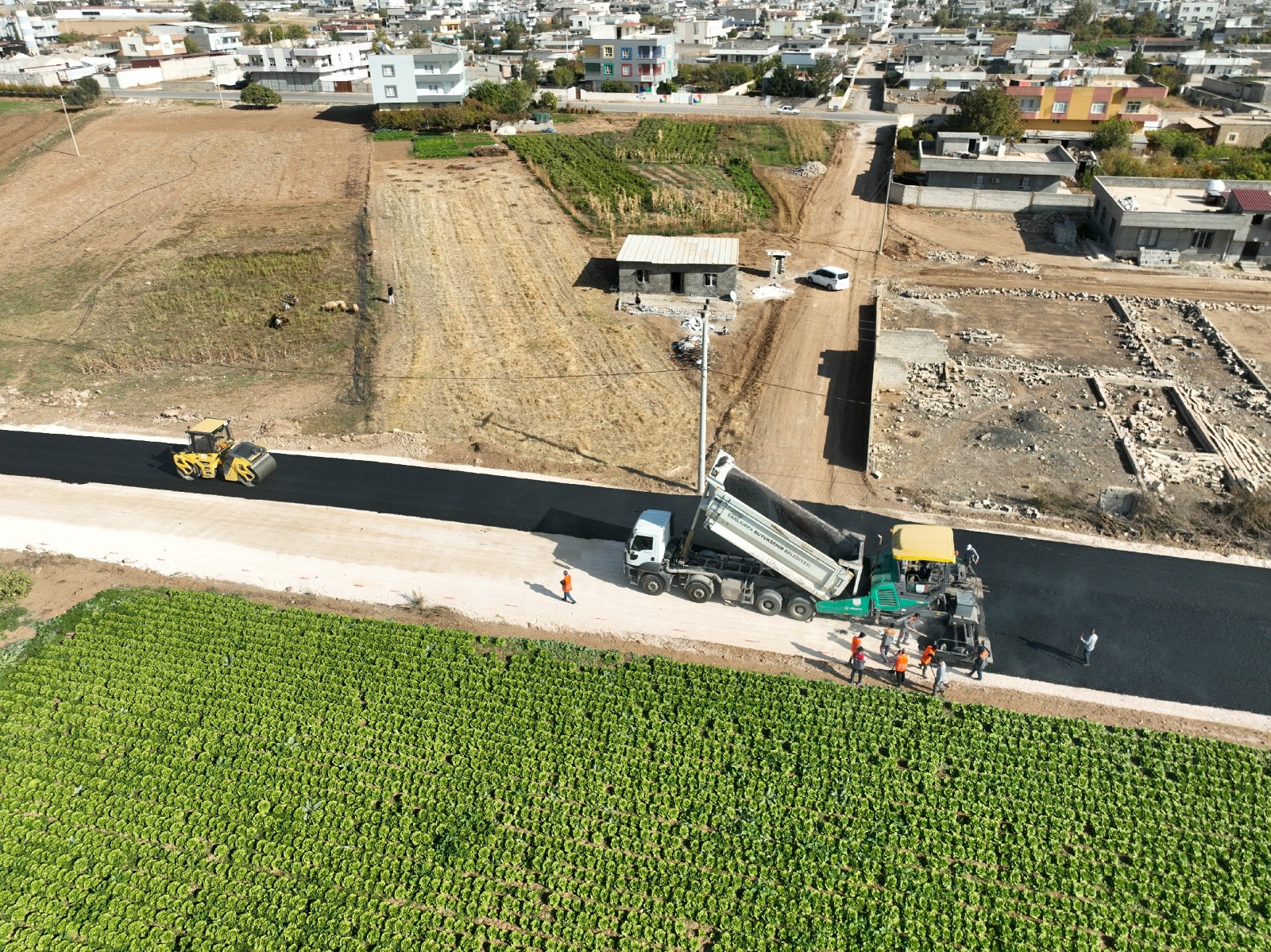 Ceylanpınar’da Büyükşehir Farkı: Asfalt Atağı Devam Ediyor