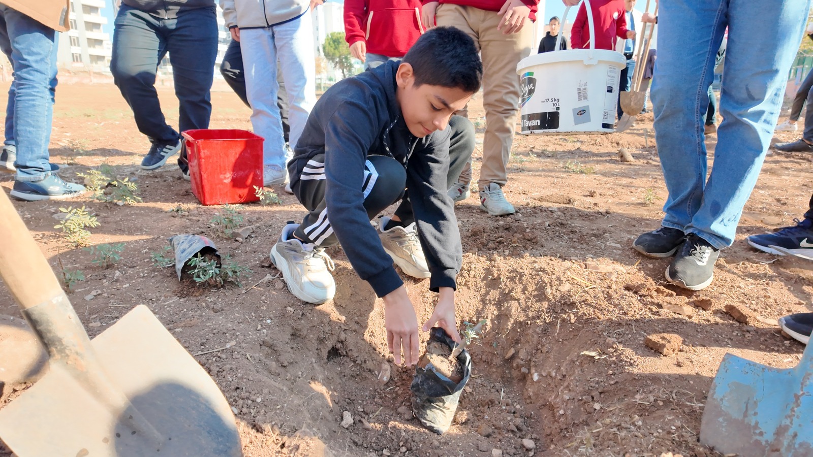 Yeşeren Okullar Projesi İle Fidanlar Toprakla Buluşuyor