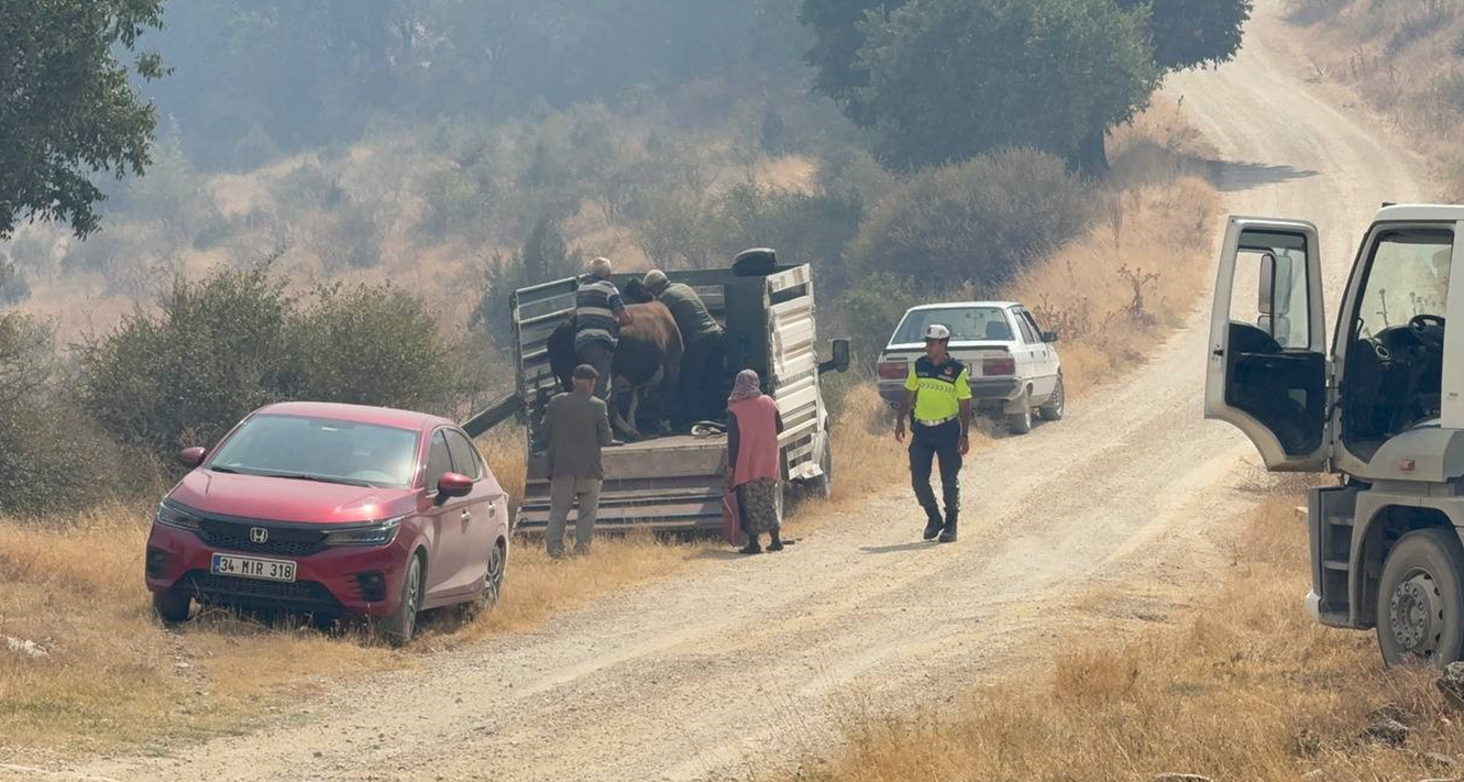 Karabük’te çıkan orman yangını Kastamonu’ya sıçradı