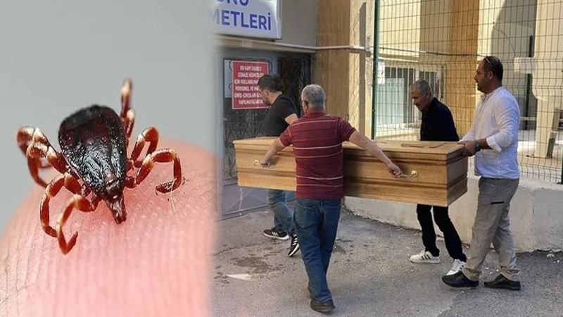 Kâbus sürüyor, keneden ölenlerin sayısı 11’e yükseldi