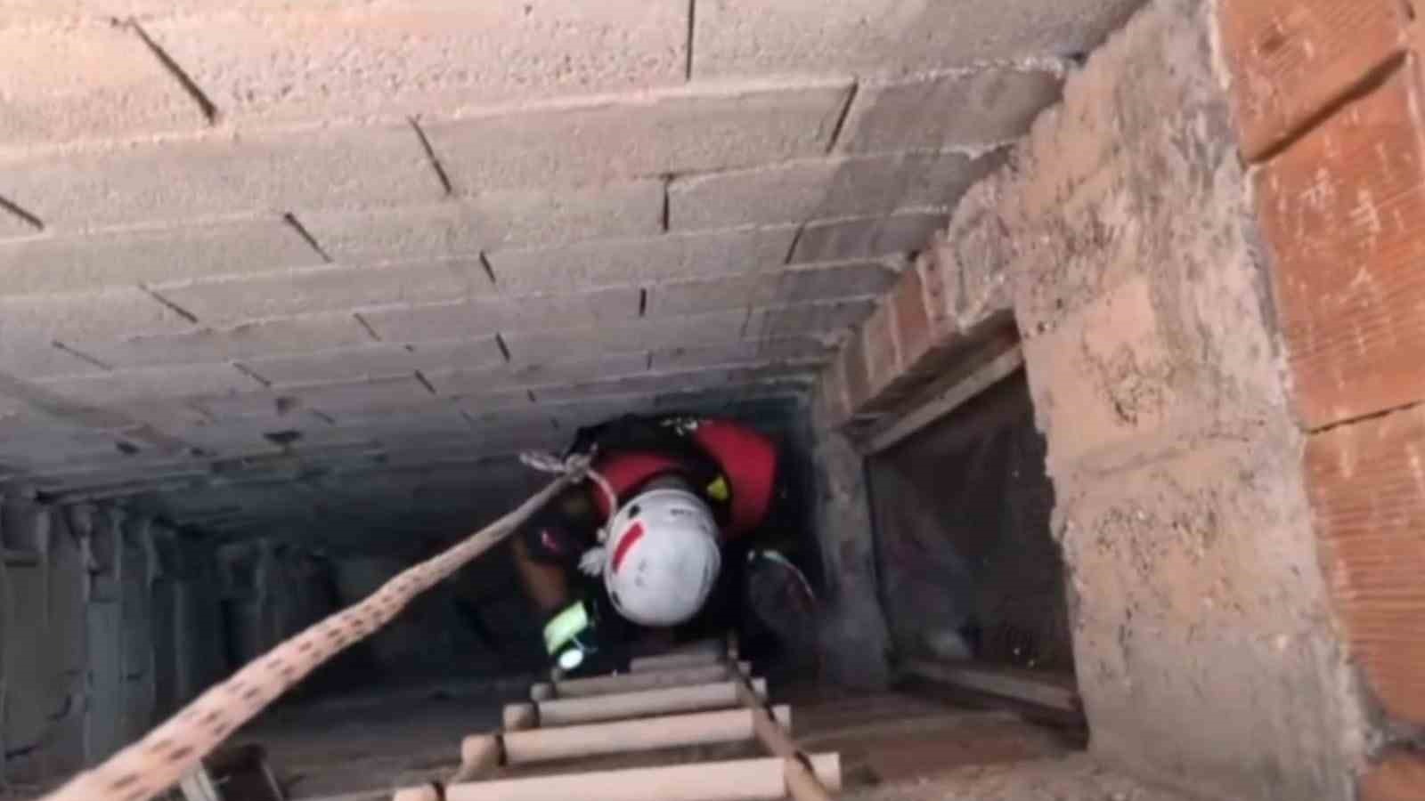 Şanlıurfa’da İtfaiyeden kedi kurtarma operasyonu