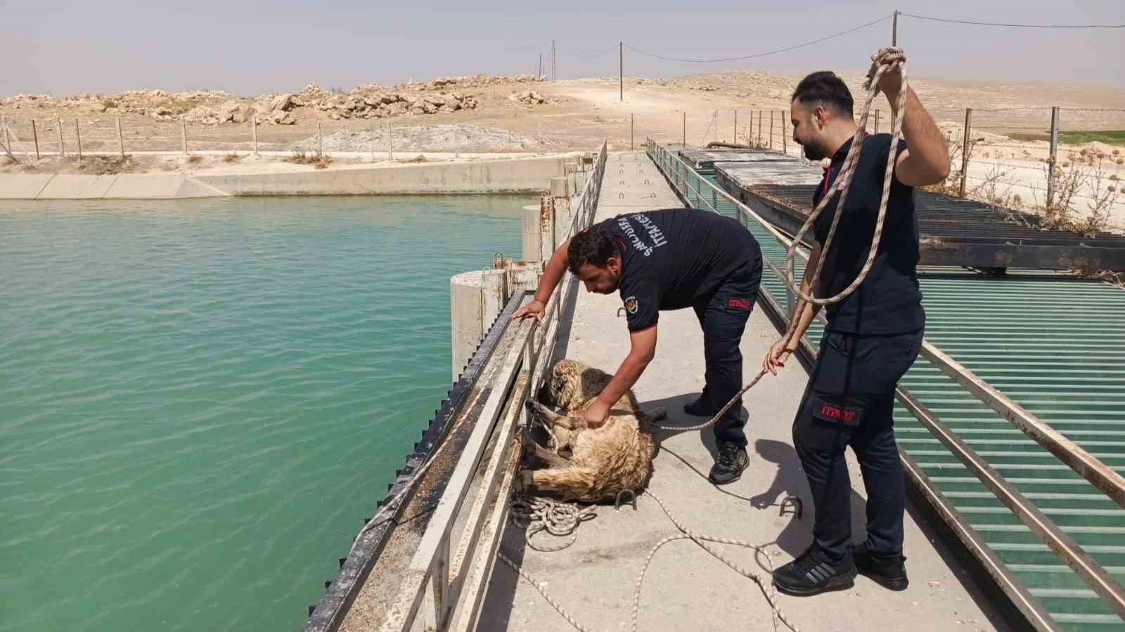 Şanlıurfa’da sulama kanalına düşen köpeği itfaiye kurtardı
